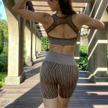 画像をギャラリービューアに読み込む, ゼブラセットアップ(2色ブラウン/ブラック)