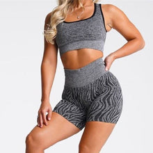 画像をギャラリービューアに読み込む, ゼブラセットアップ(2色ブラウン/ブラック)